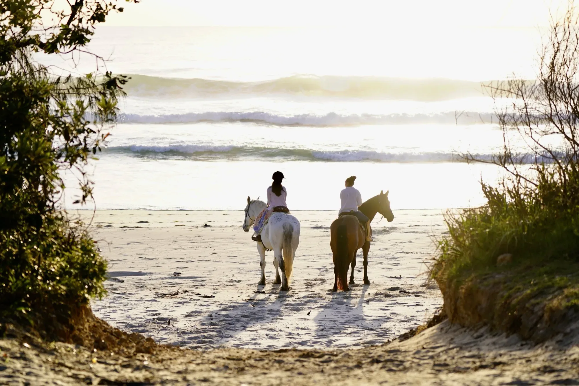 Beach Ride