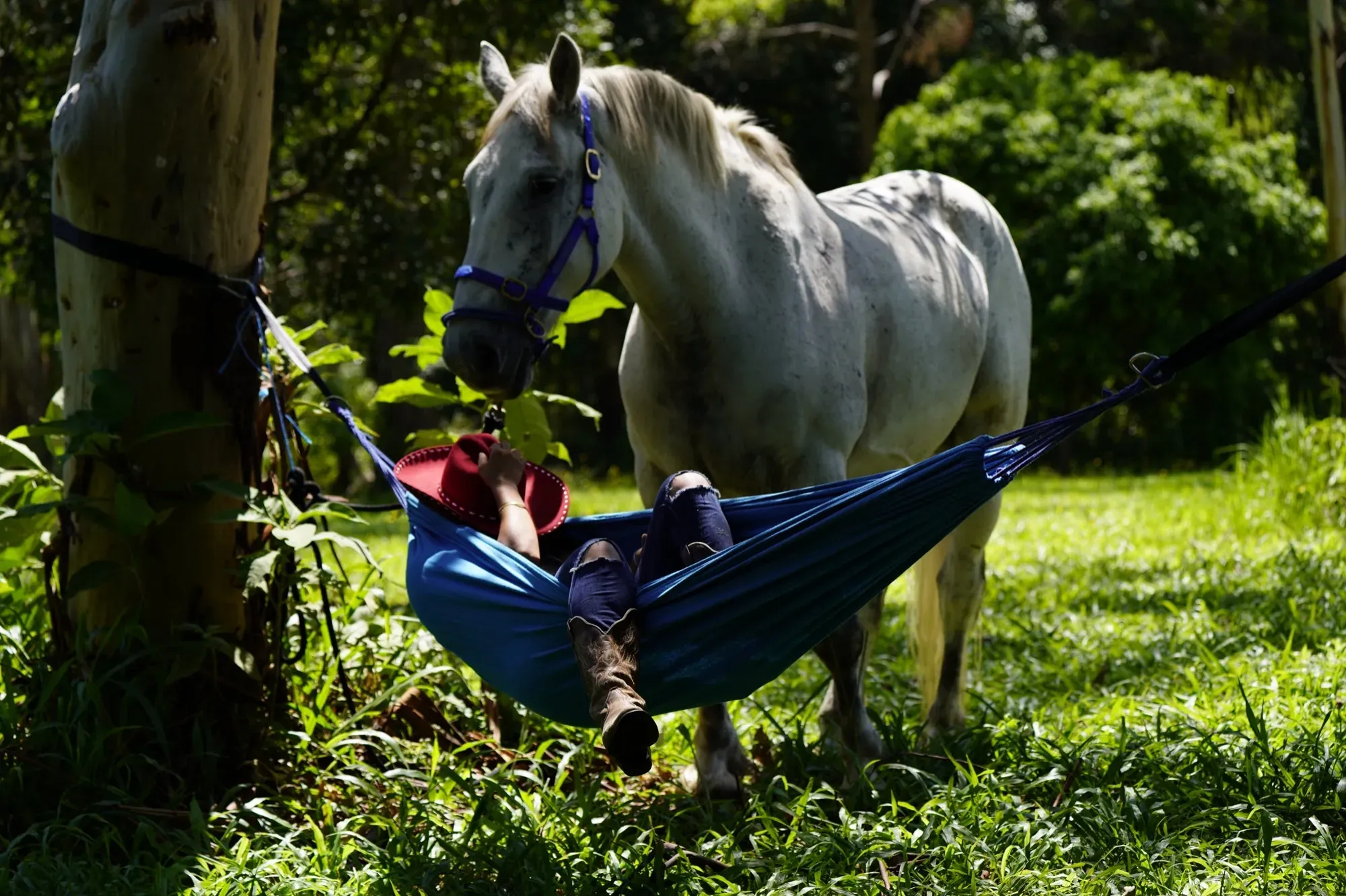 Overnight Camping